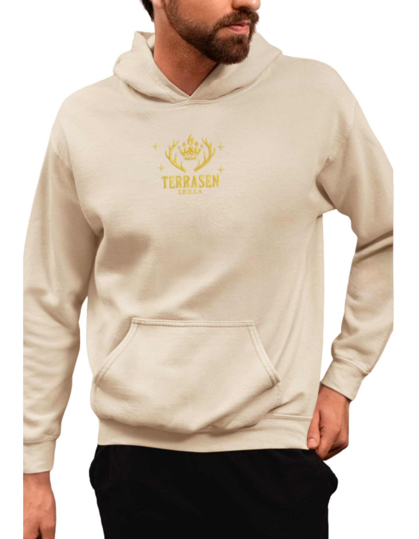 Terrasen 2.0 hoodie Throne of Glass - Thread Muse