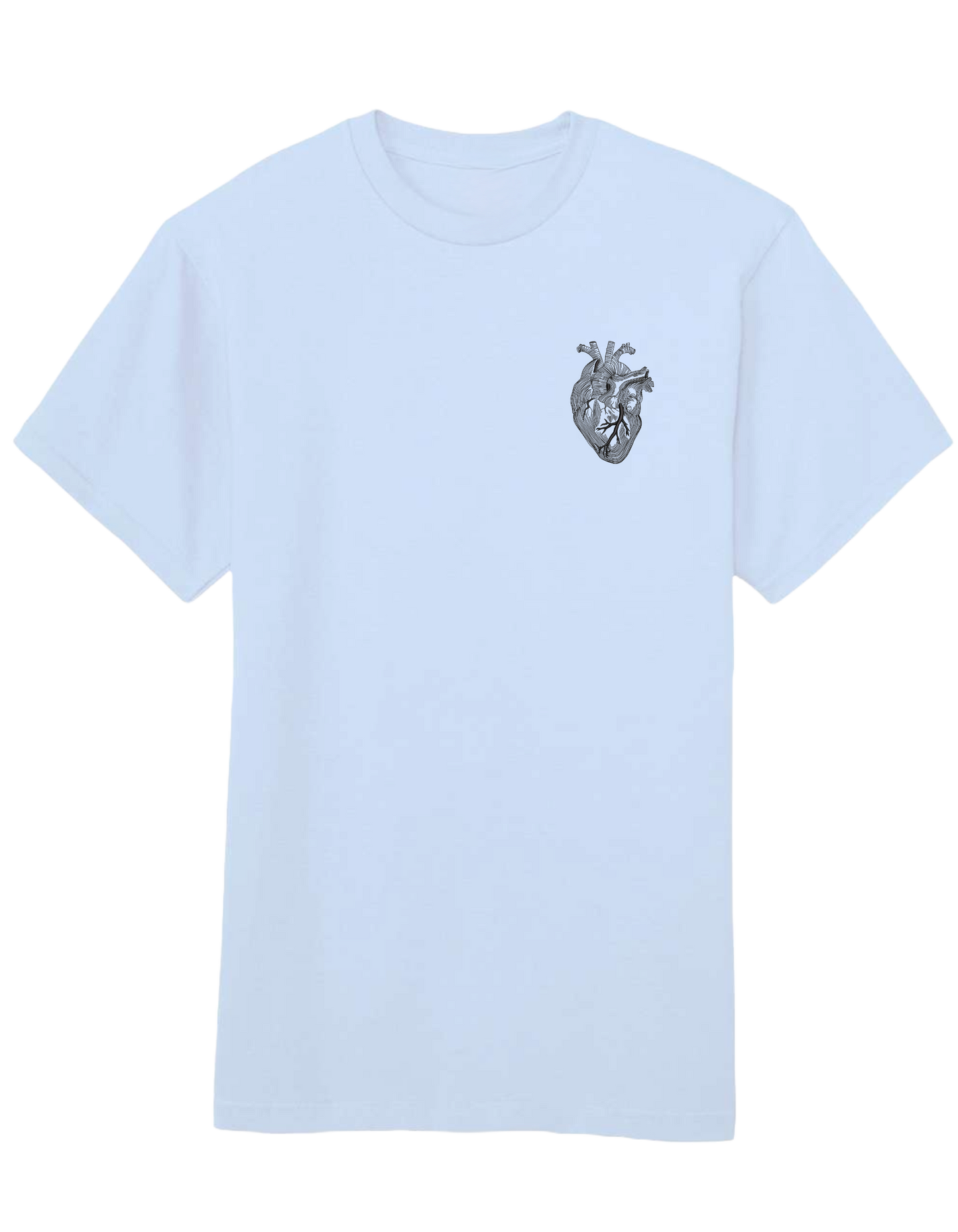 Anatomical heart - Thread Muse