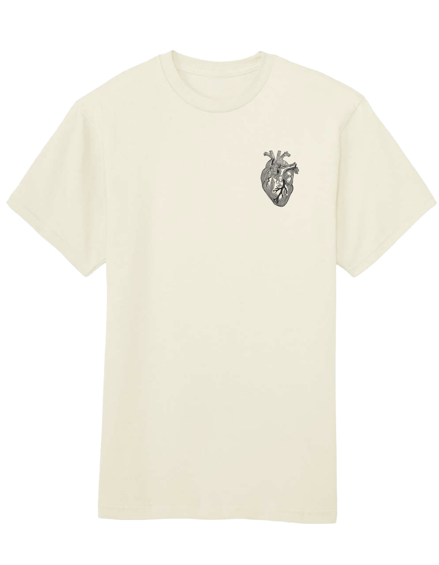 Anatomical heart - Thread Muse