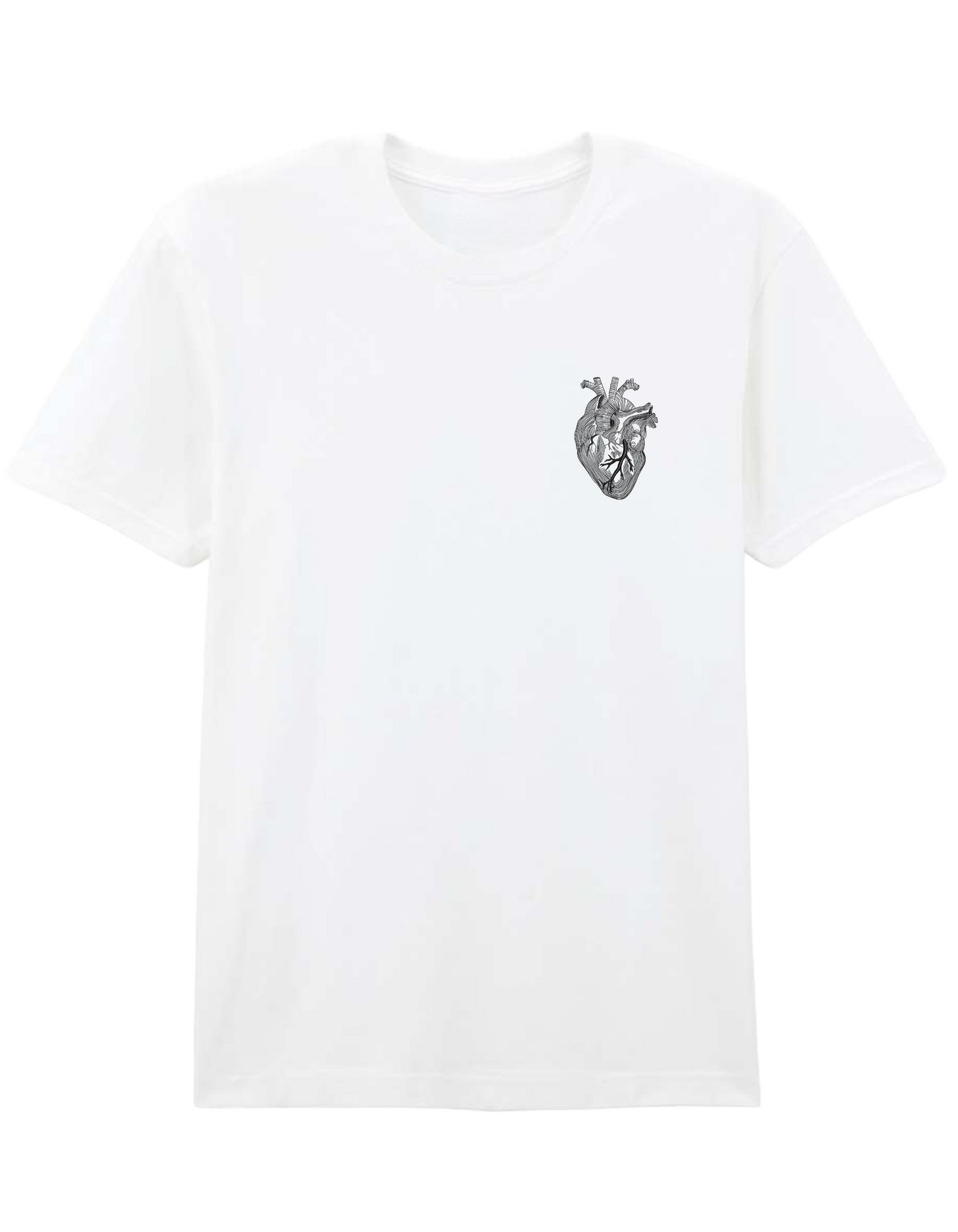 Anatomical heart - Thread Muse