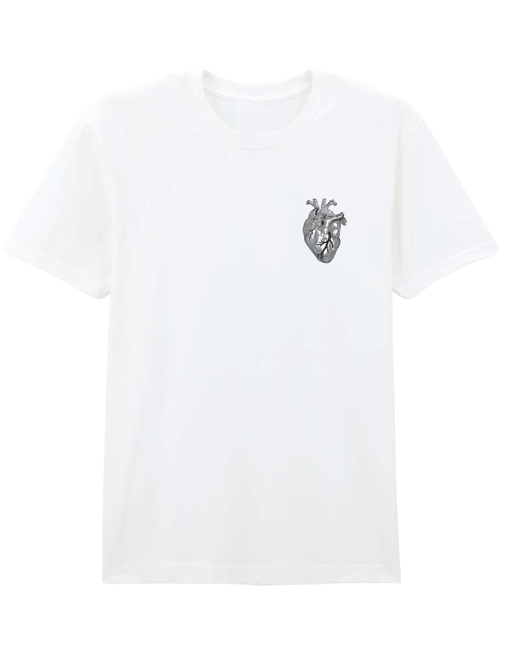 Anatomical heart - Thread Muse