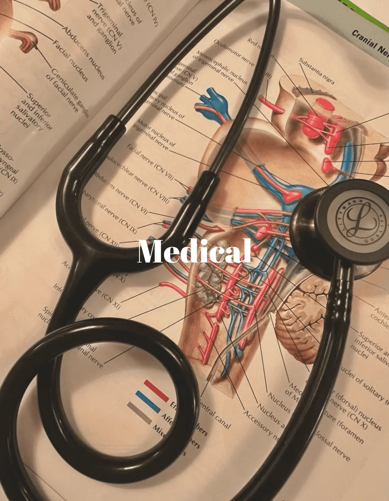 Viață între Gărzi - Medical