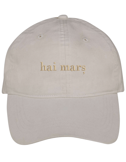 Hai mars saca brodata