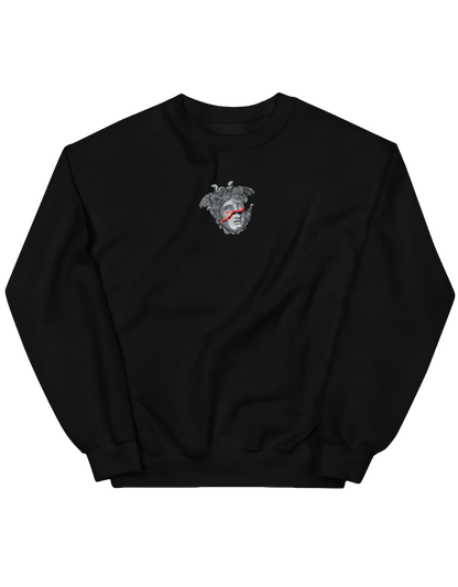 Medusa sweatshirt Sculpturi