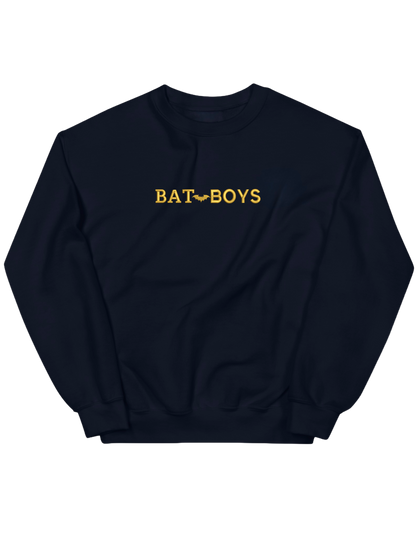 Bat boys sweatshirt ACOTAR
