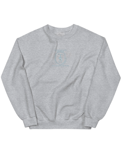 Fair sweatshirt Taylor Swift