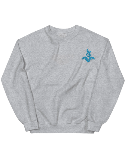 Mage sweatshirt LoL - Thread Muse
