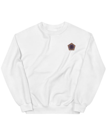 Frog 2.0 sweatshirt Harry Potter