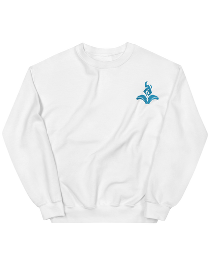 Mage sweatshirt LoL
