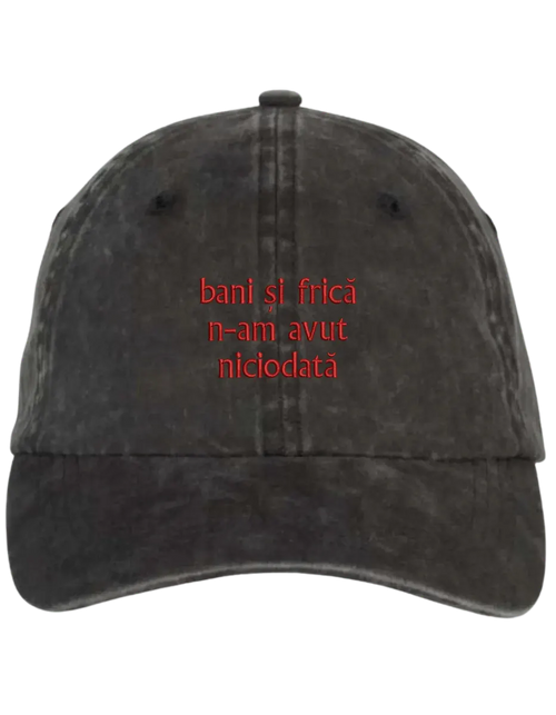 Bani si frica sapca brodata